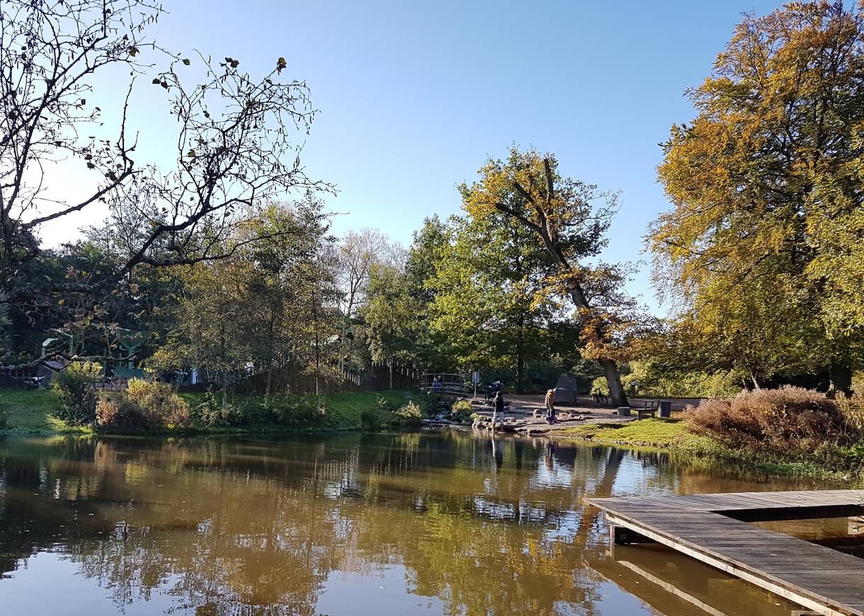 Szene mit Stegen, spielenden Kindern und Bäumen an einem See
