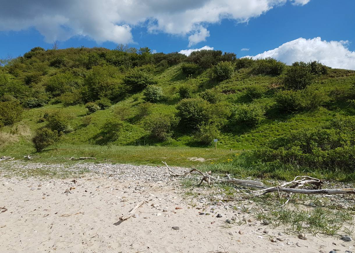 Grüner Hügel hinter einem steinigen Sandstrand
