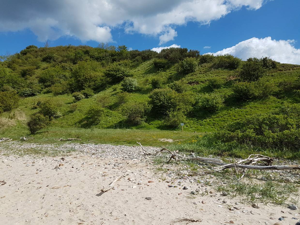 Grüner Hügel hinter einem steinigen Sandstrand