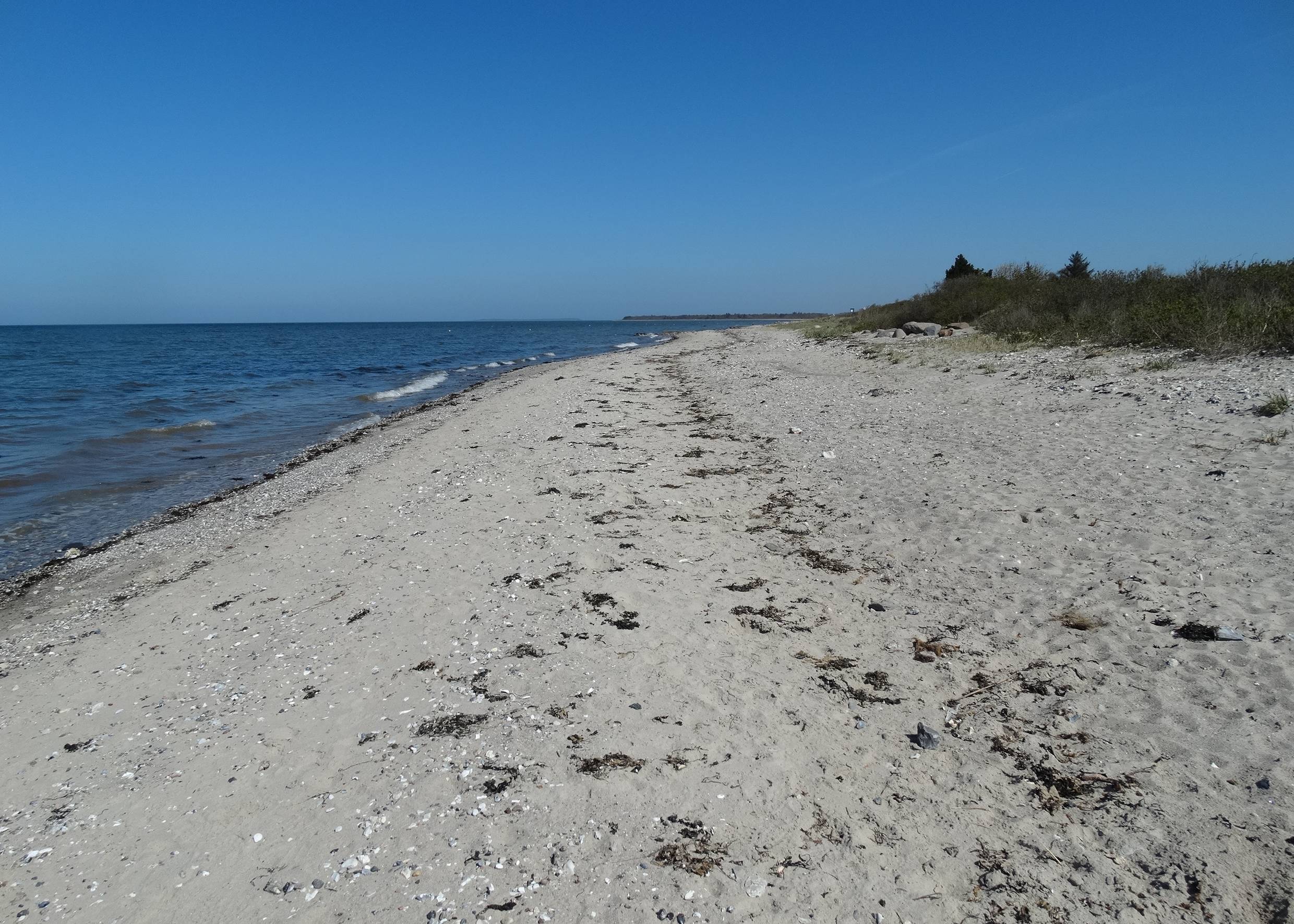 Sandstrand an der Ostsee unter blauem Himmel
