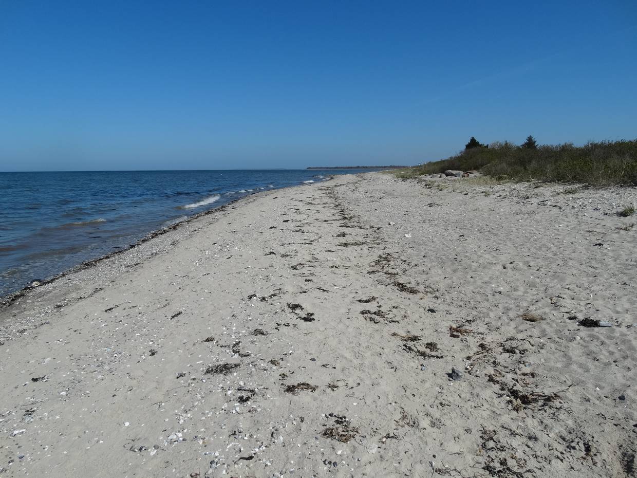 Sandstrand an der Ostsee unter blauem Himmel