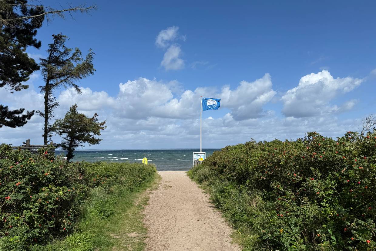 Foto von Skåstrup Strand