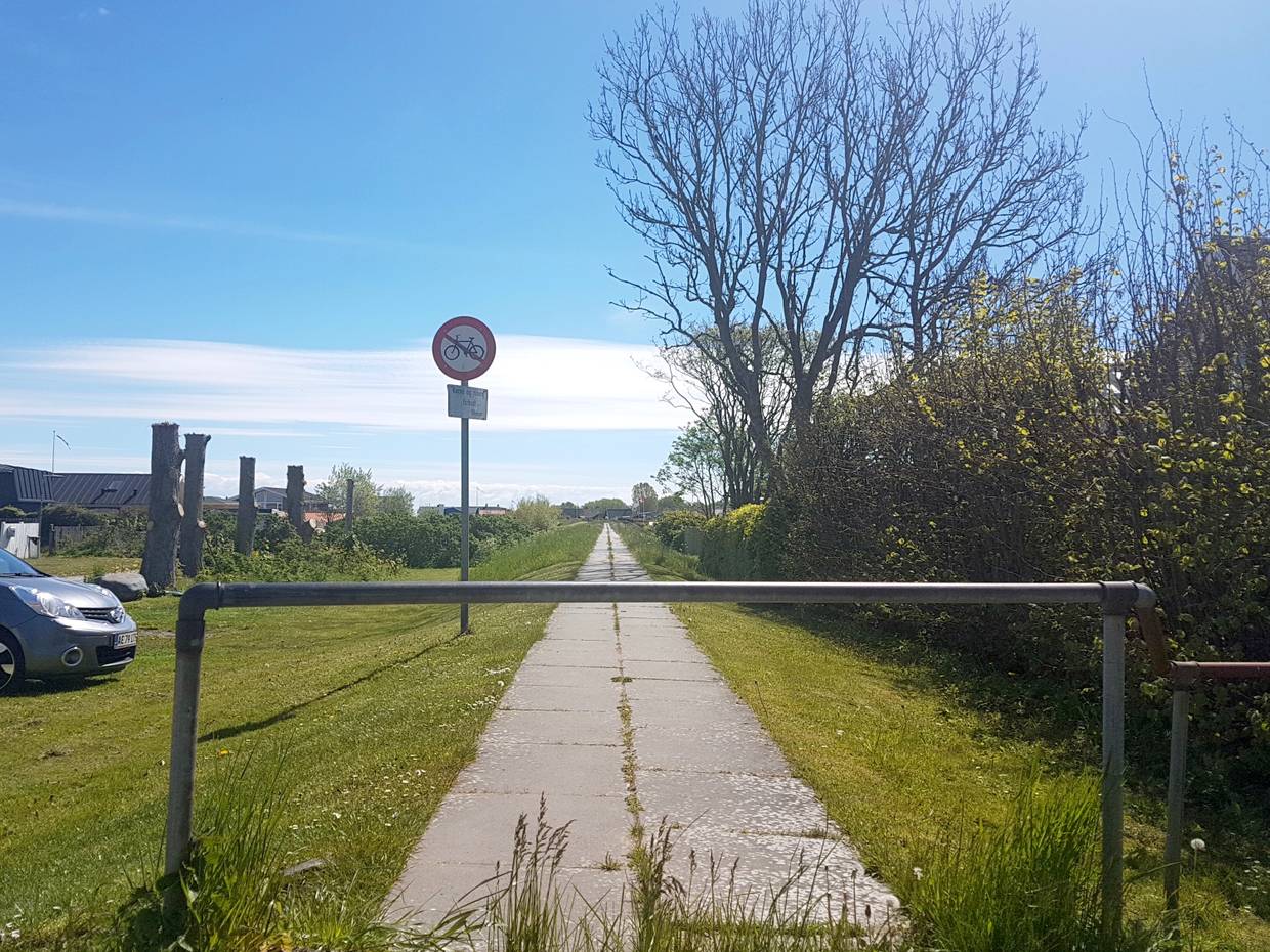 Schmaler, betonnierter Deichweg 
