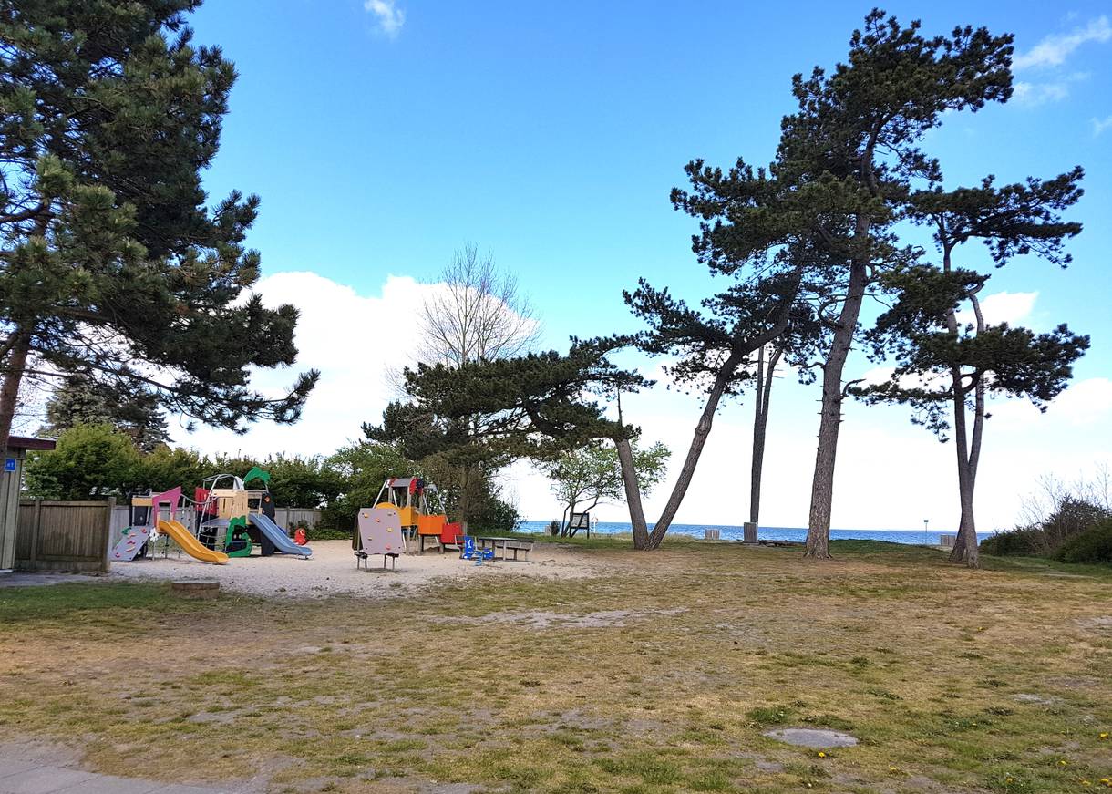 Spielgeräte unter Kiefern am Strand