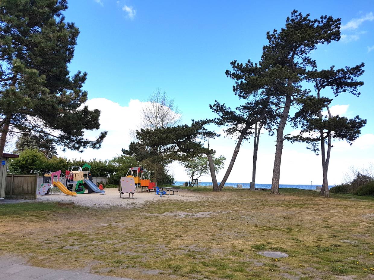 Spielgeräte unter Kiefern am Strand