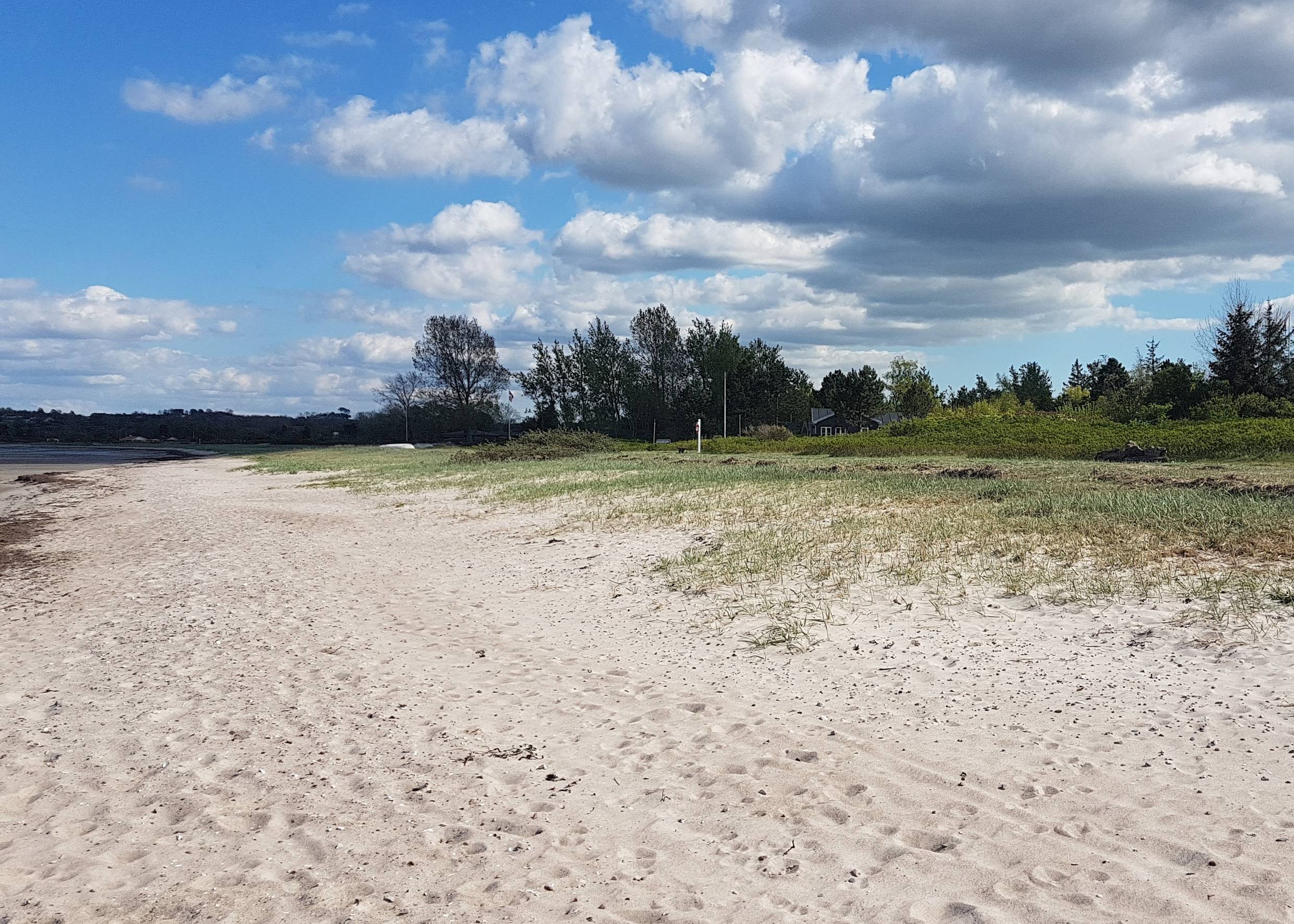 Sandstrand mit etwas Wiese und Bäumen im Hintergrund