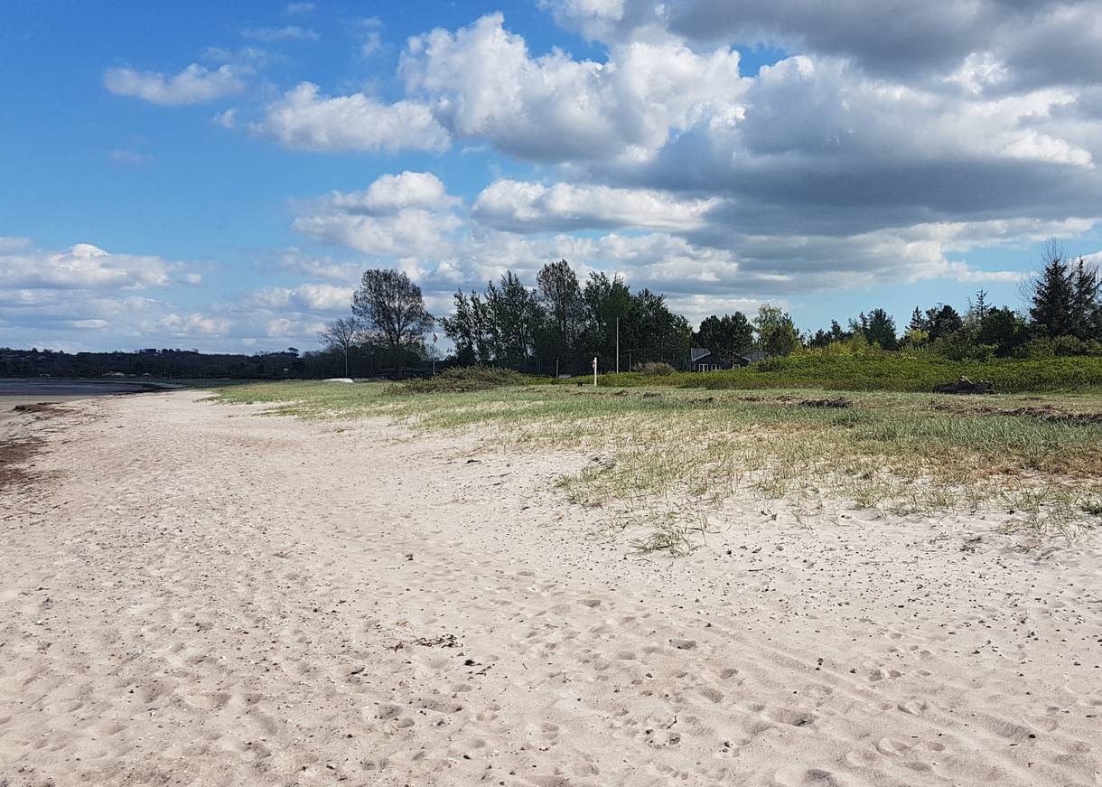 Sandstrand mit etwas Wiese und Bäumen im Hintergrund