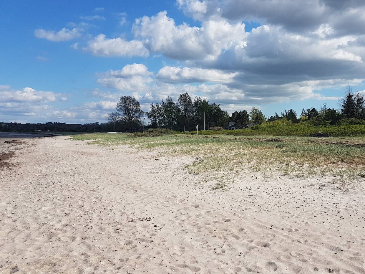 Sandstrand mit etwas Wiese und Bäumen im Hintergrund