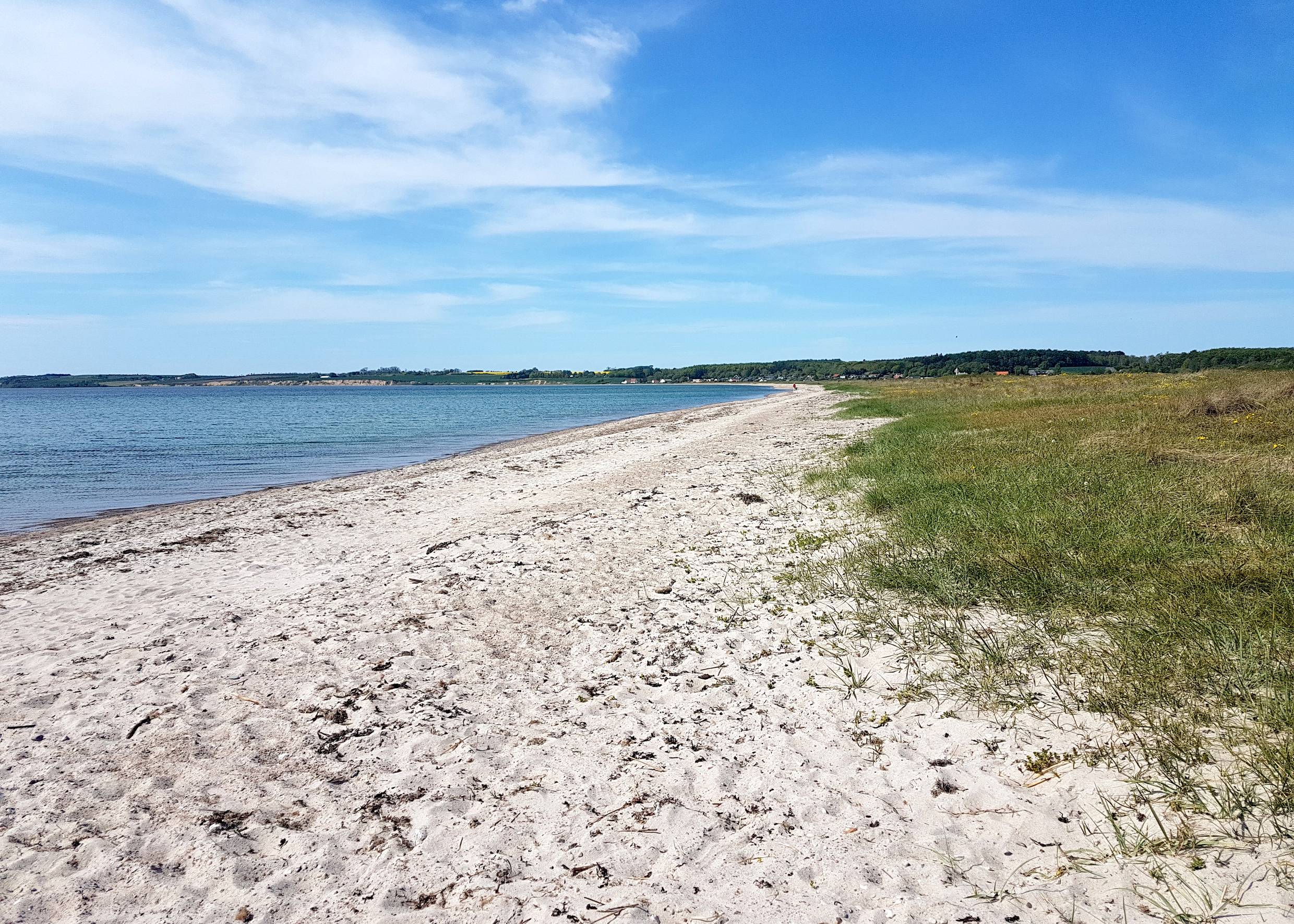 Blick über eine lange Sandbucht mit Strandwiesen