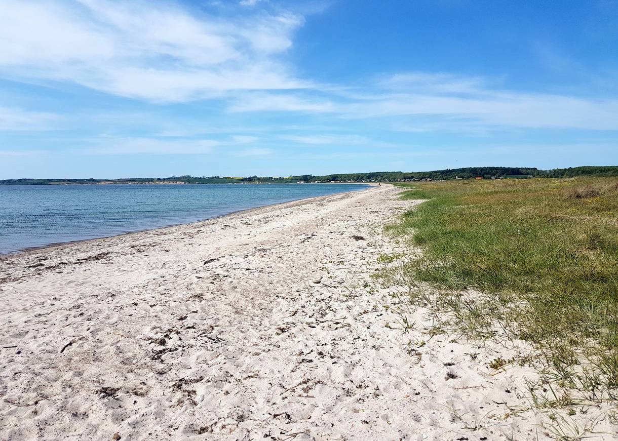 Blick über eine lange Sandbucht mit Strandwiesen