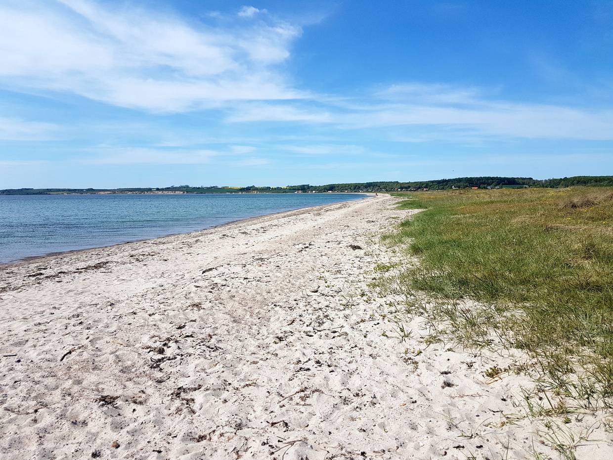 Blick über eine lange Sandbucht mit Strandwiesen