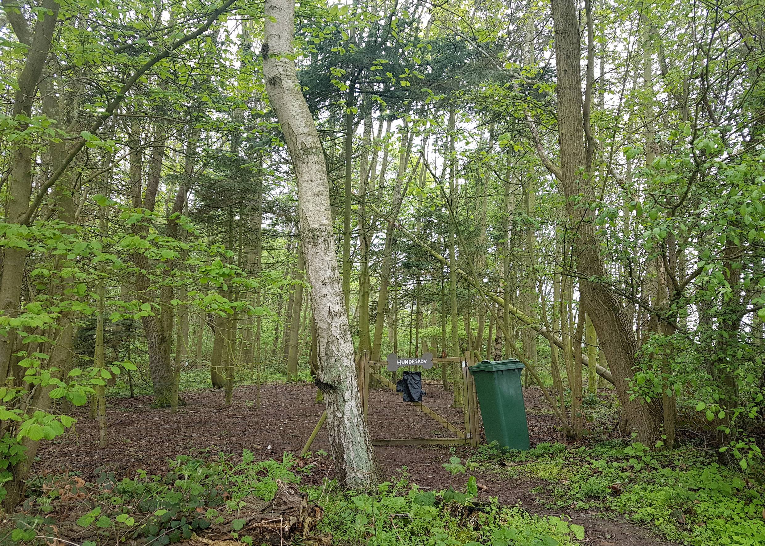 Eingangspforte zu einem Hundewald
