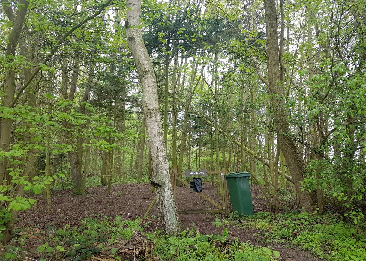 Eingangspforte zu einem Hundewald