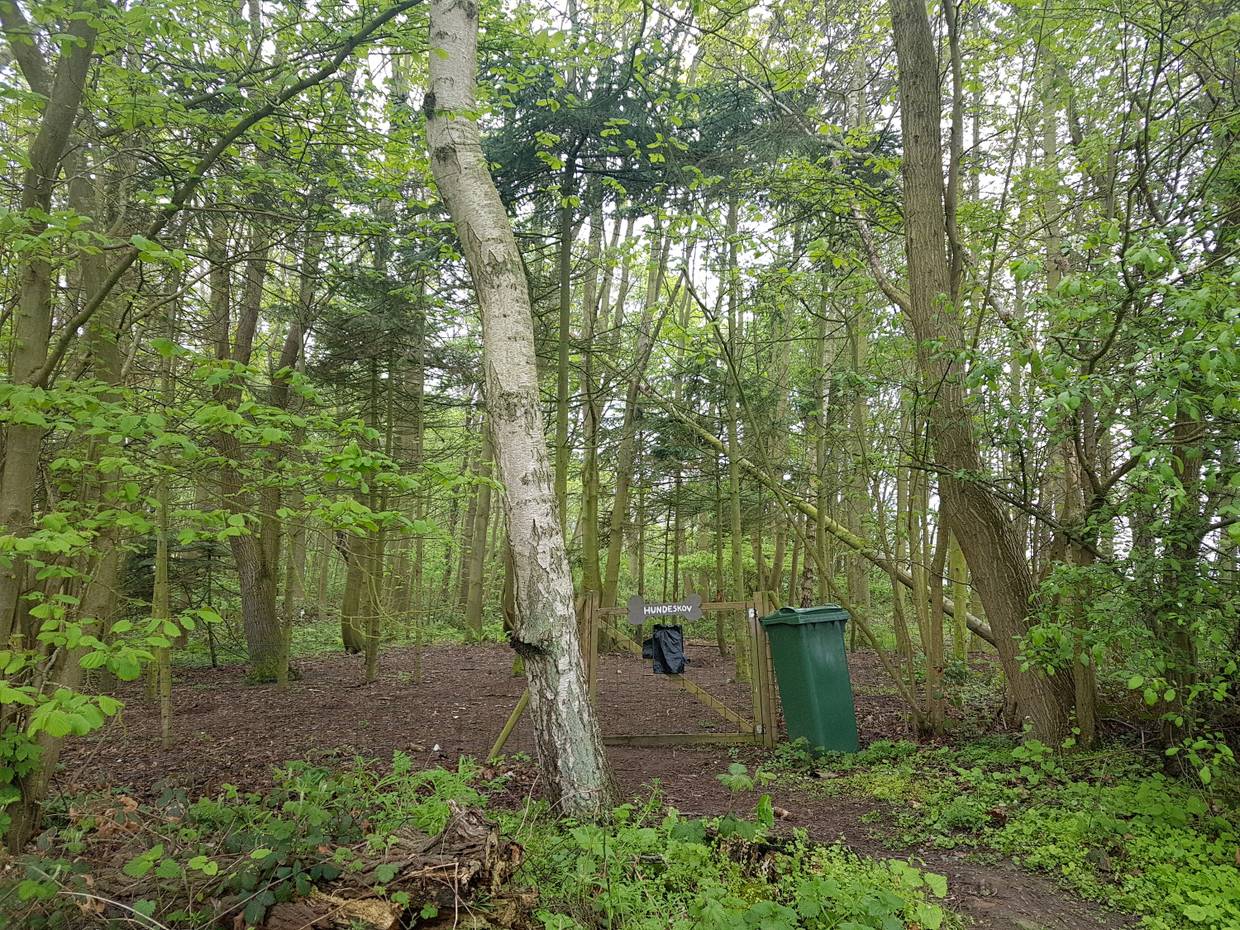 Eingangspforte zu einem Hundewald