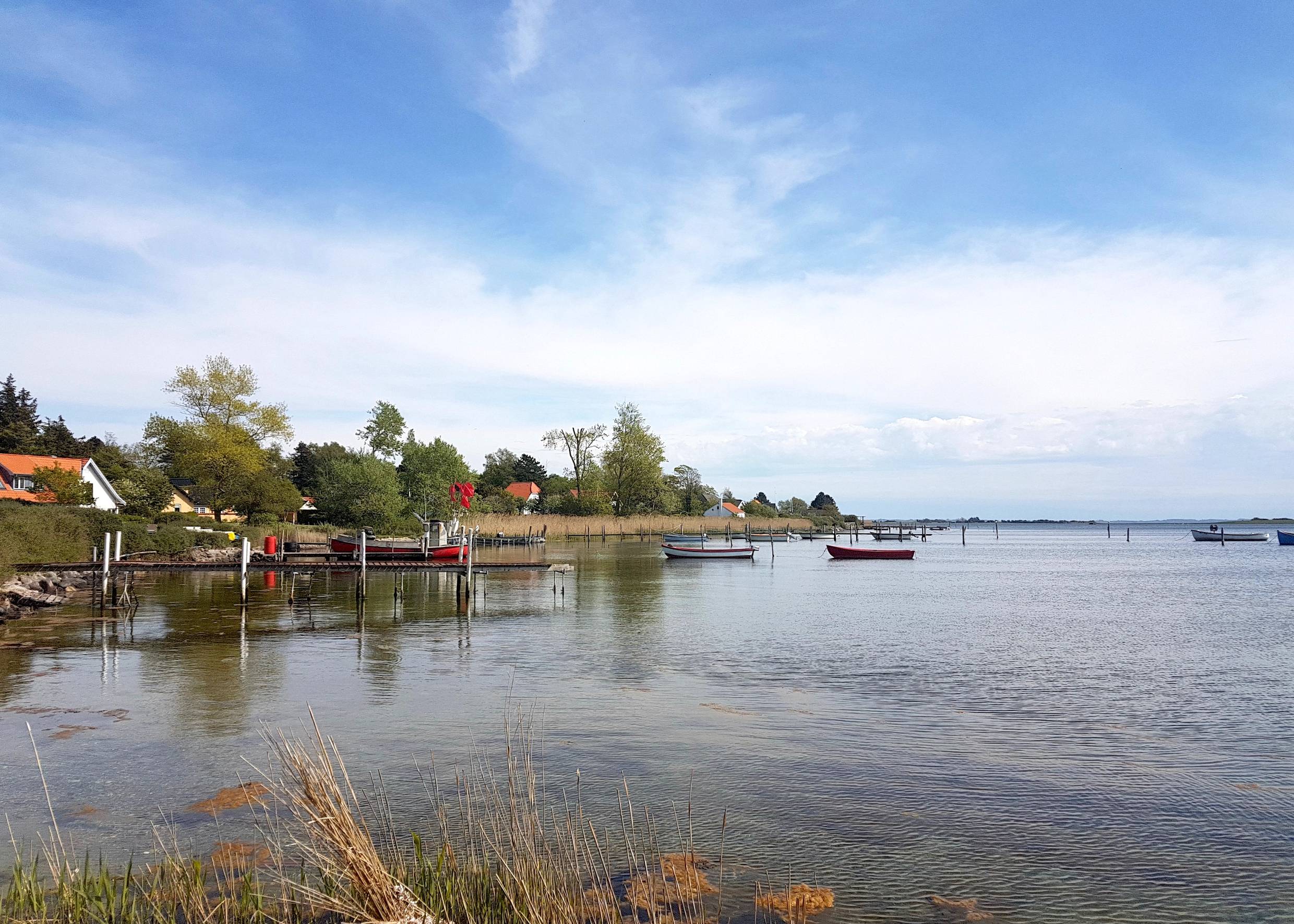 Küstenlinie mit Schilf und bunten, kleinen Booten auf dem Wasser