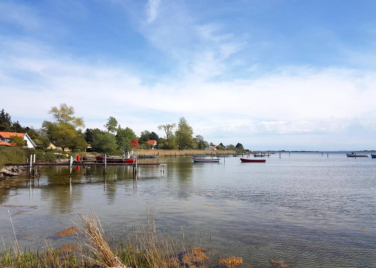 Küstenlinie mit Schilf und bunten, kleinen Booten auf dem Wasser