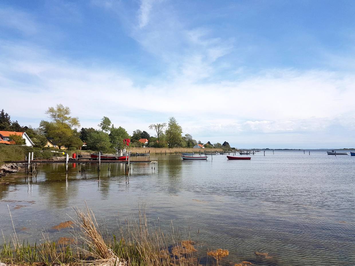 Küstenlinie mit Schilf und bunten, kleinen Booten auf dem Wasser