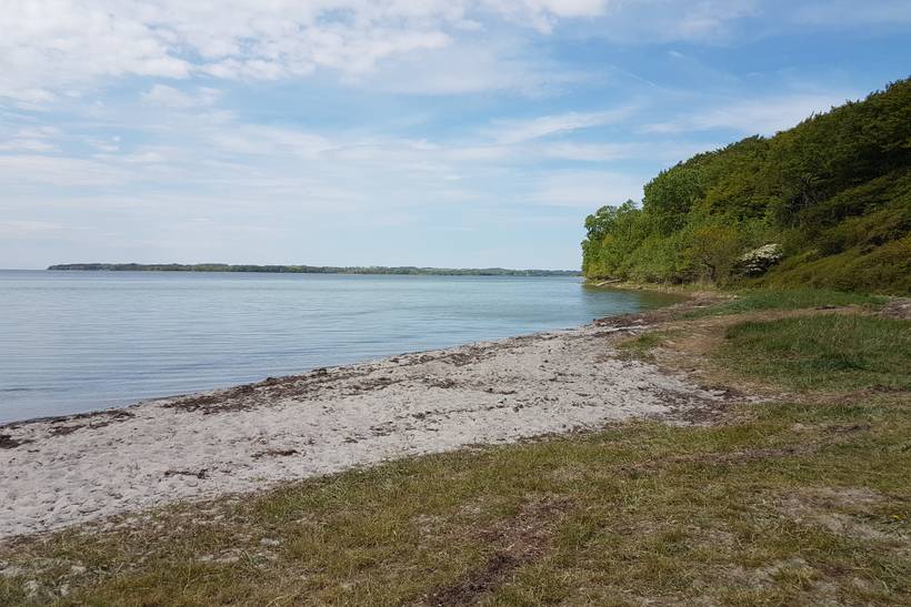 Foto von Damsbo Strand