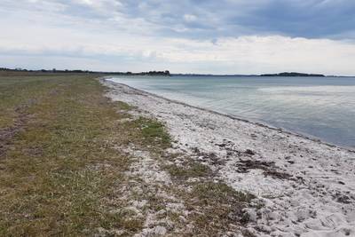 Vorschaubild von Damsbo Strand
