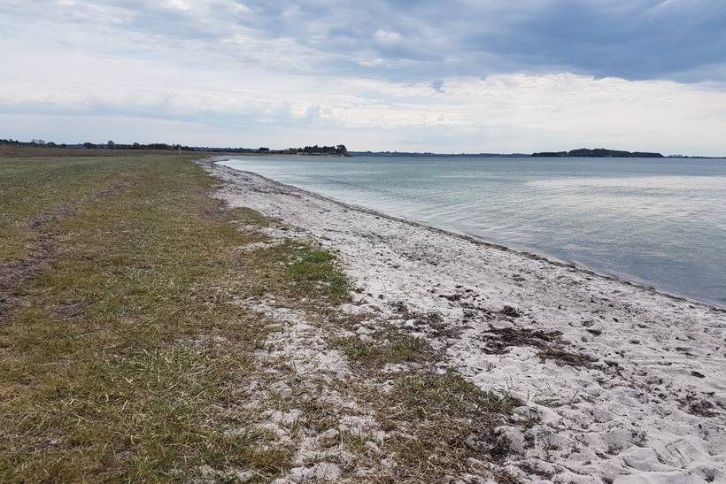 Foto von Damsbo Strand