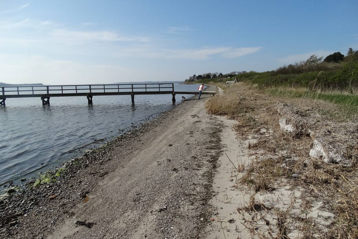 Foto von Faldsled Strand