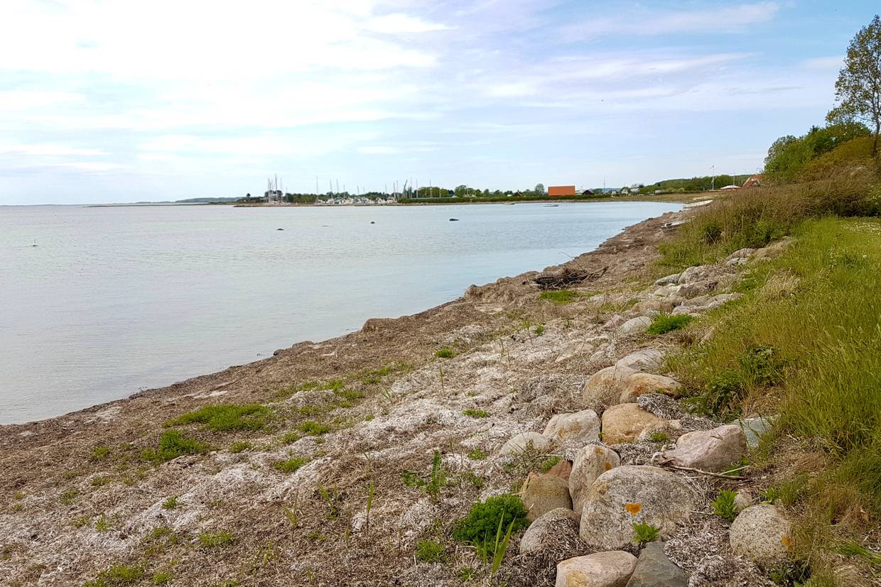 Foto von Faldsled Strand