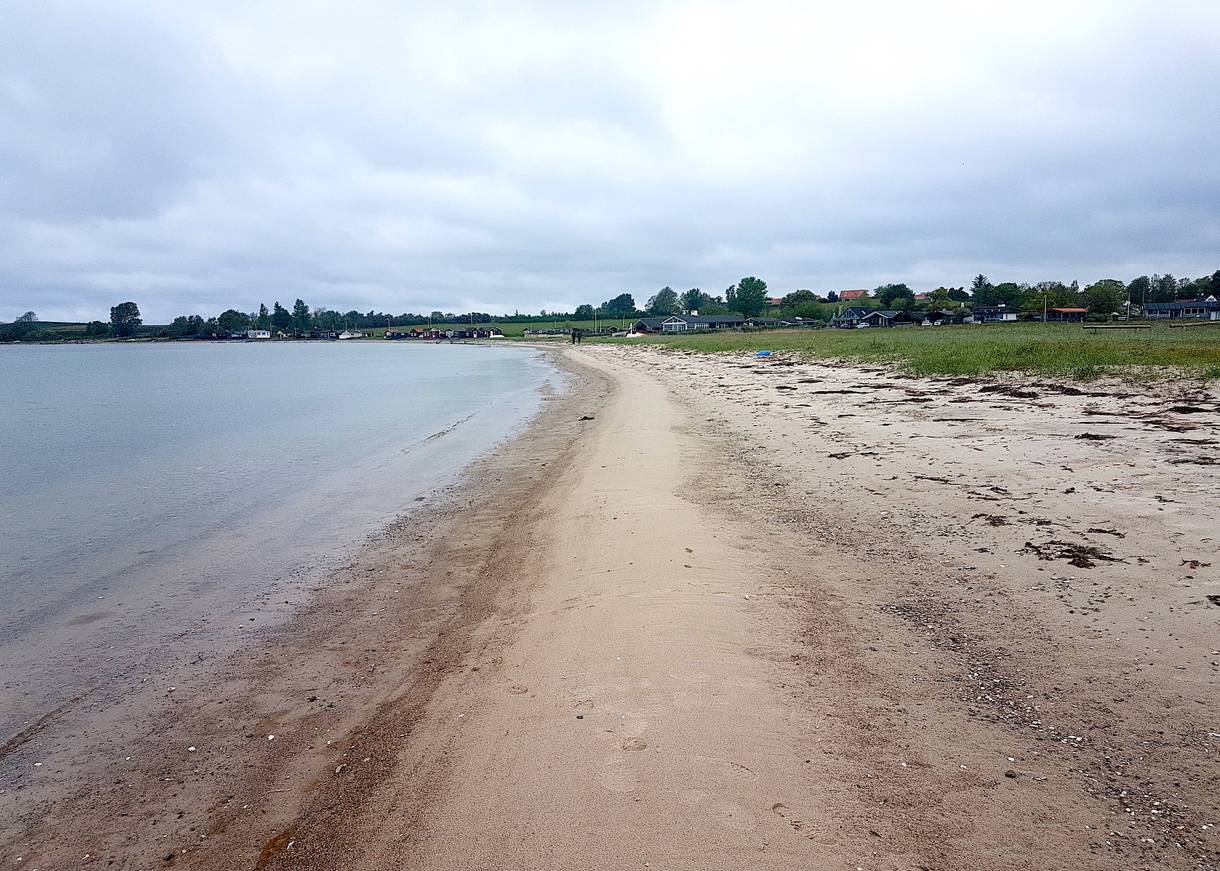 Sandstrand, im Hintergrund Ferienhäuser