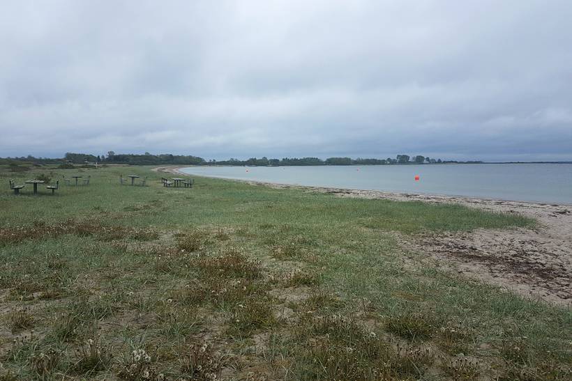 Foto von Føns Strand