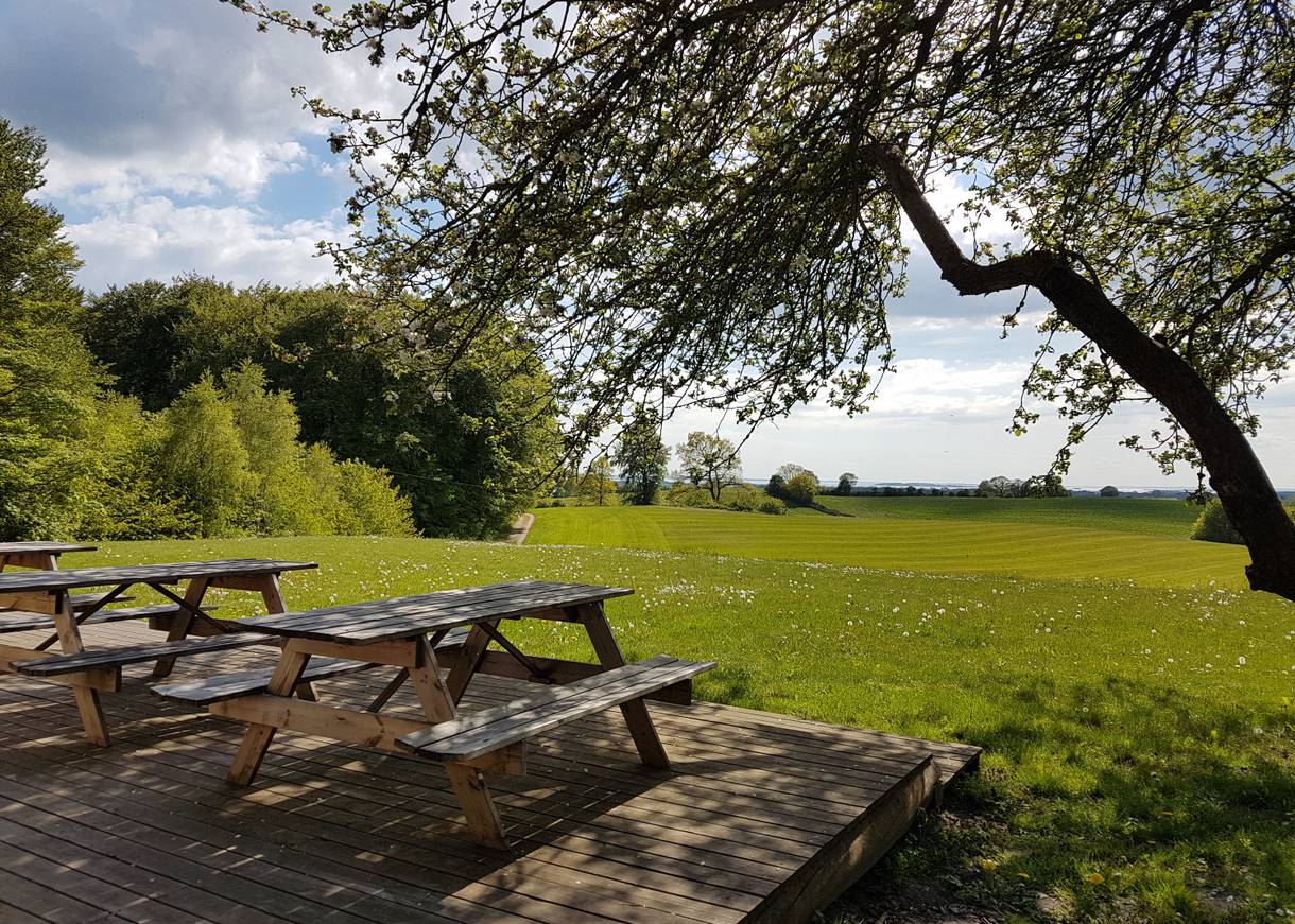 Blick über waldige Hügel von einer Terrasse mit Picknickbänken