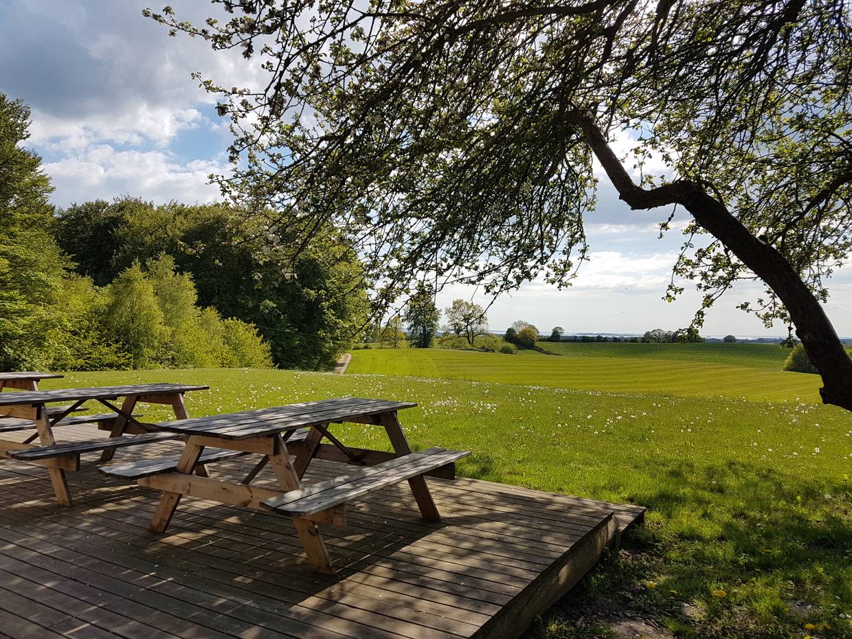 Blick über waldige Hügel von einer Terrasse mit Picknickbänken