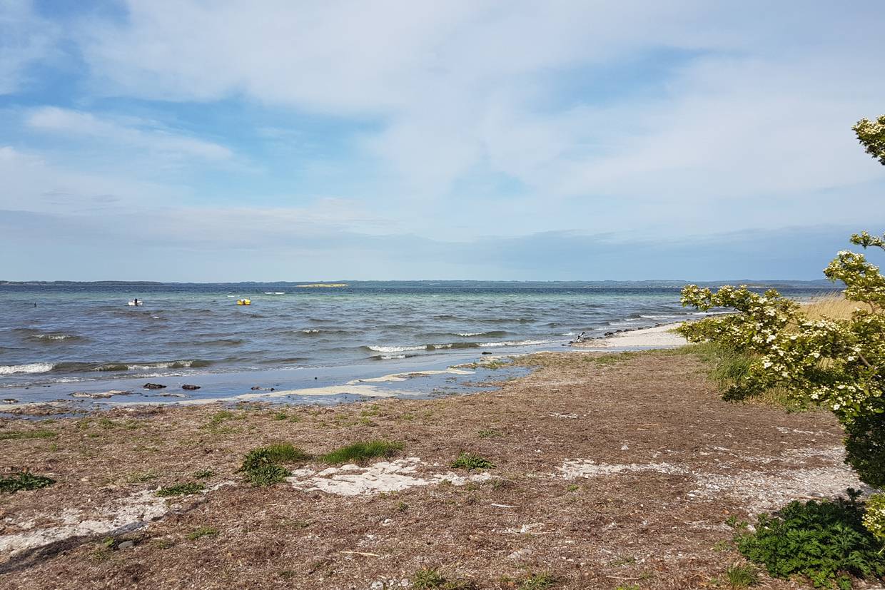 Foto von  Helnæs Strand 