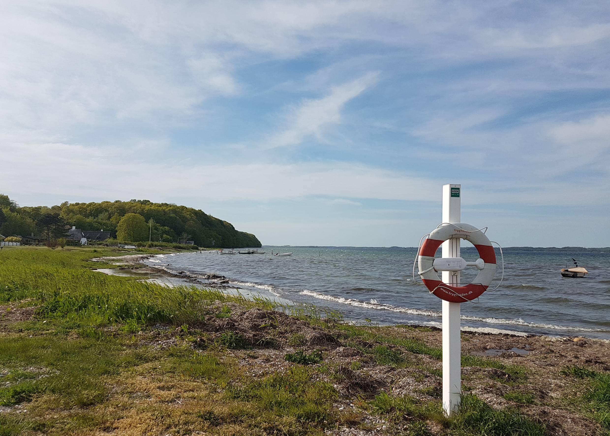 Küste mit Gras und einem Rettungsring am Strandschild