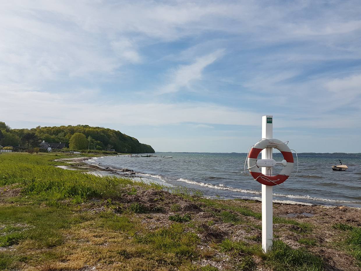 Küste mit Gras und einem Rettungsring am Strandschild