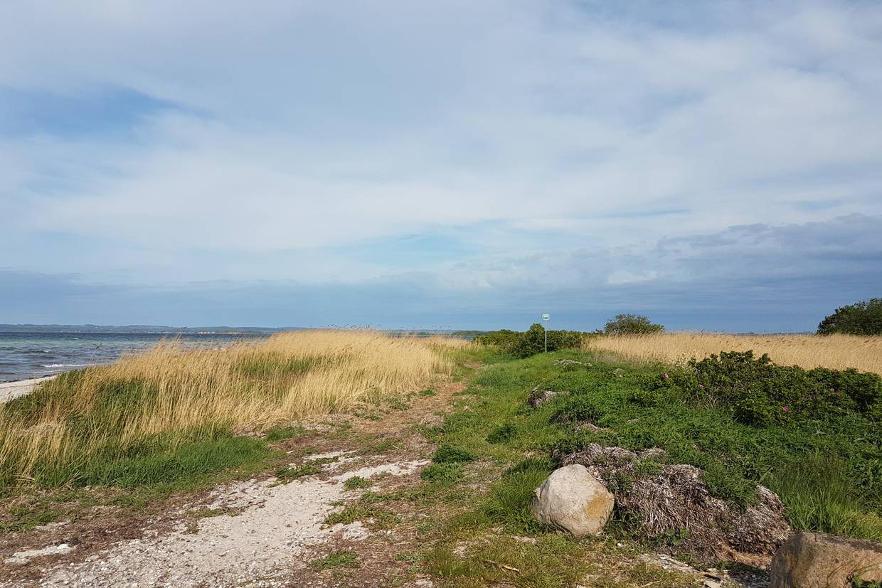 Foto von  Helnæs Strand 