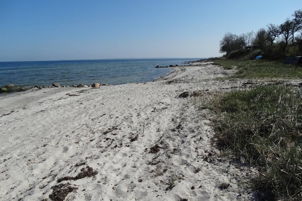 Foto von Bøsøre Strand