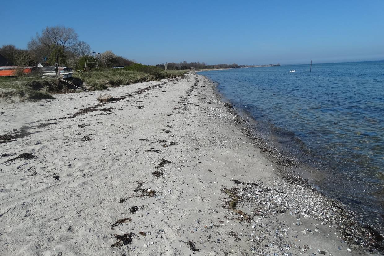 Foto von Bøsøre Strand