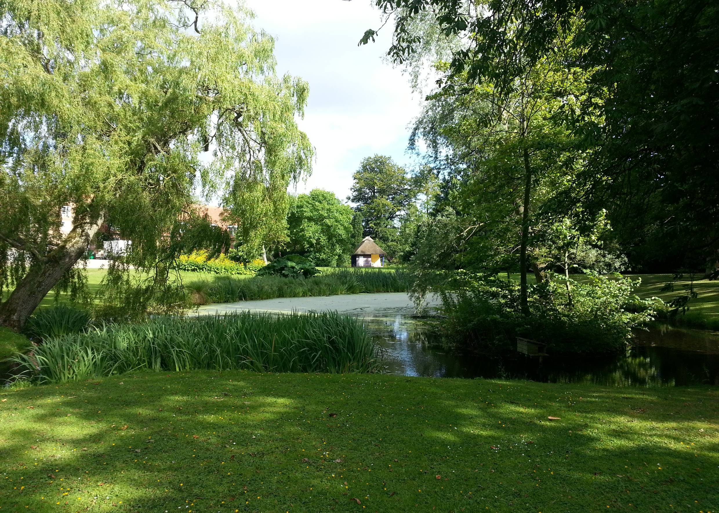 Blick auf einen kleinen Teich, umgeben von Trauerweiden