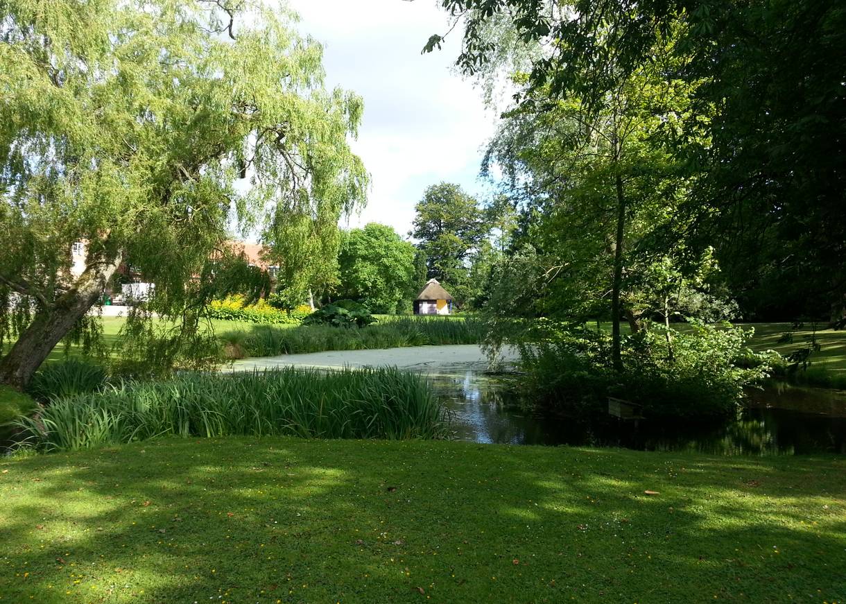Blick auf einen kleinen Teich, umgeben von Trauerweiden