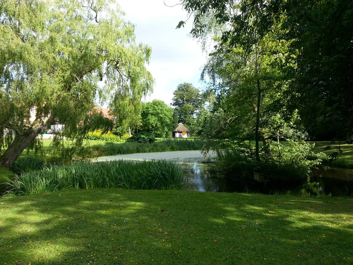 Blick auf einen kleinen Teich, umgeben von Trauerweiden