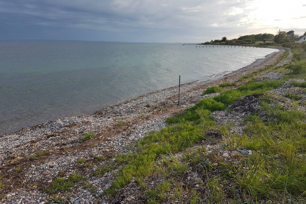 Foto von Horne Strand