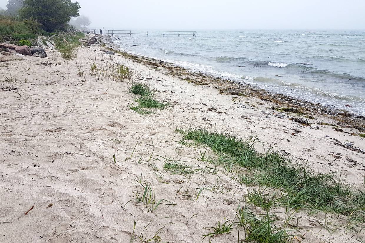 Foto von Bøsøre Strand
