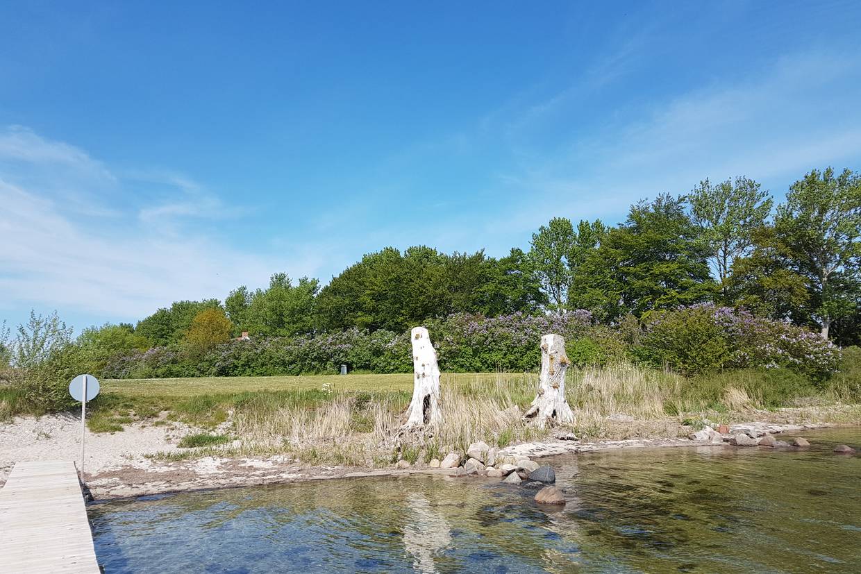 Foto von Løgismose Strand
