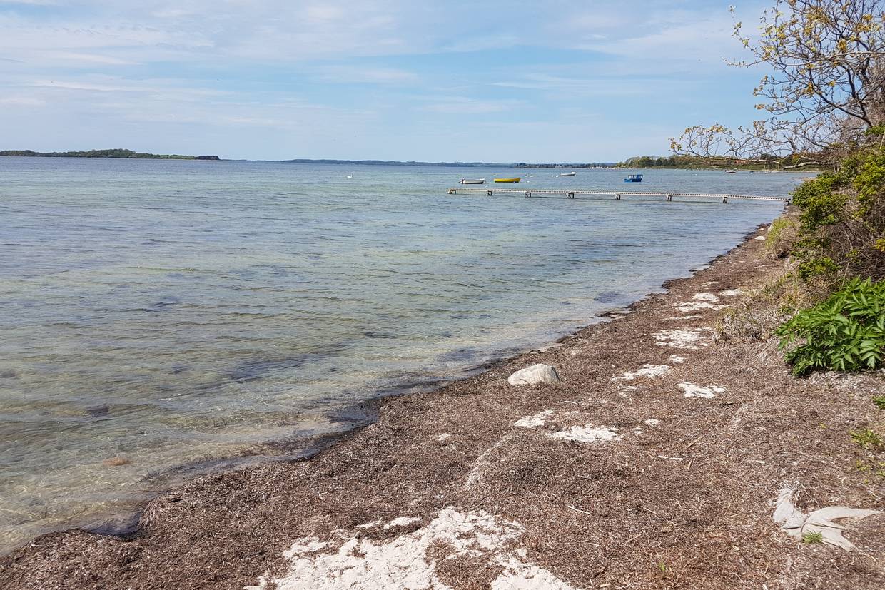Foto von Millinge Klint Badeplatz