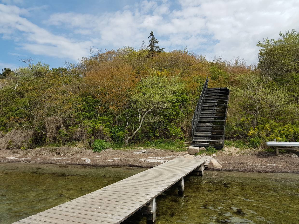 Blick vom Badesteg auf eine steile Treppe an der dich bewachsenen Steilküste