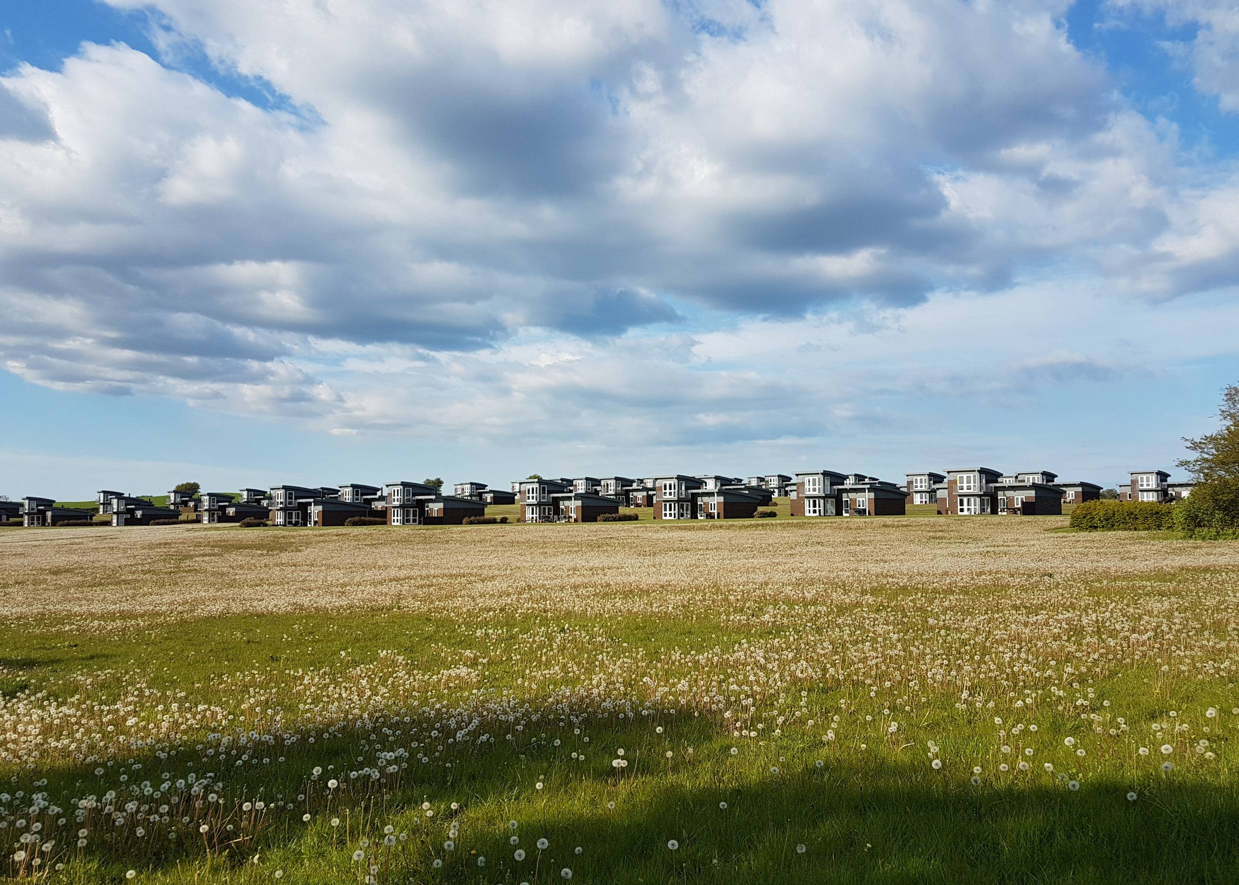 Moderne, gleichförmige Ferienhäuser auf einer Wiese