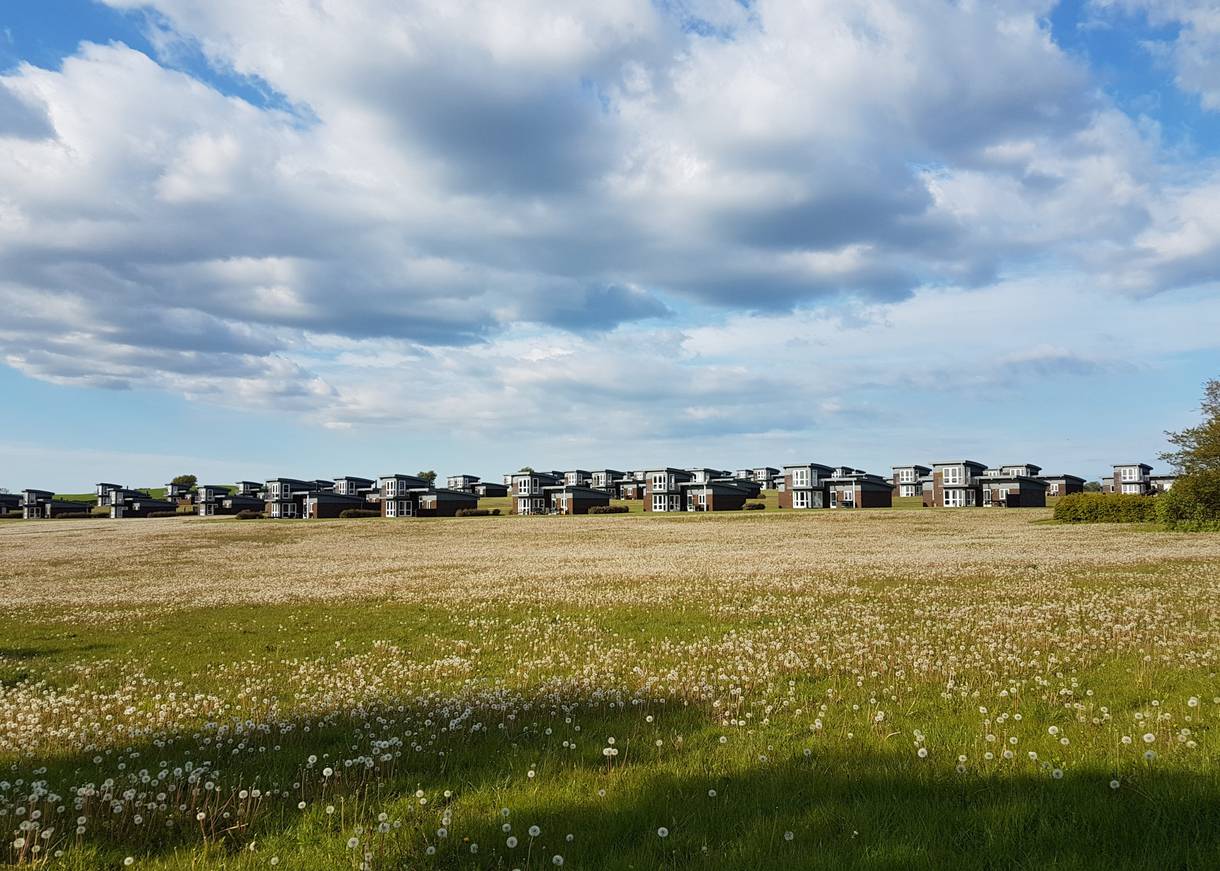 Moderne, gleichförmige Ferienhäuser auf einer Wiese