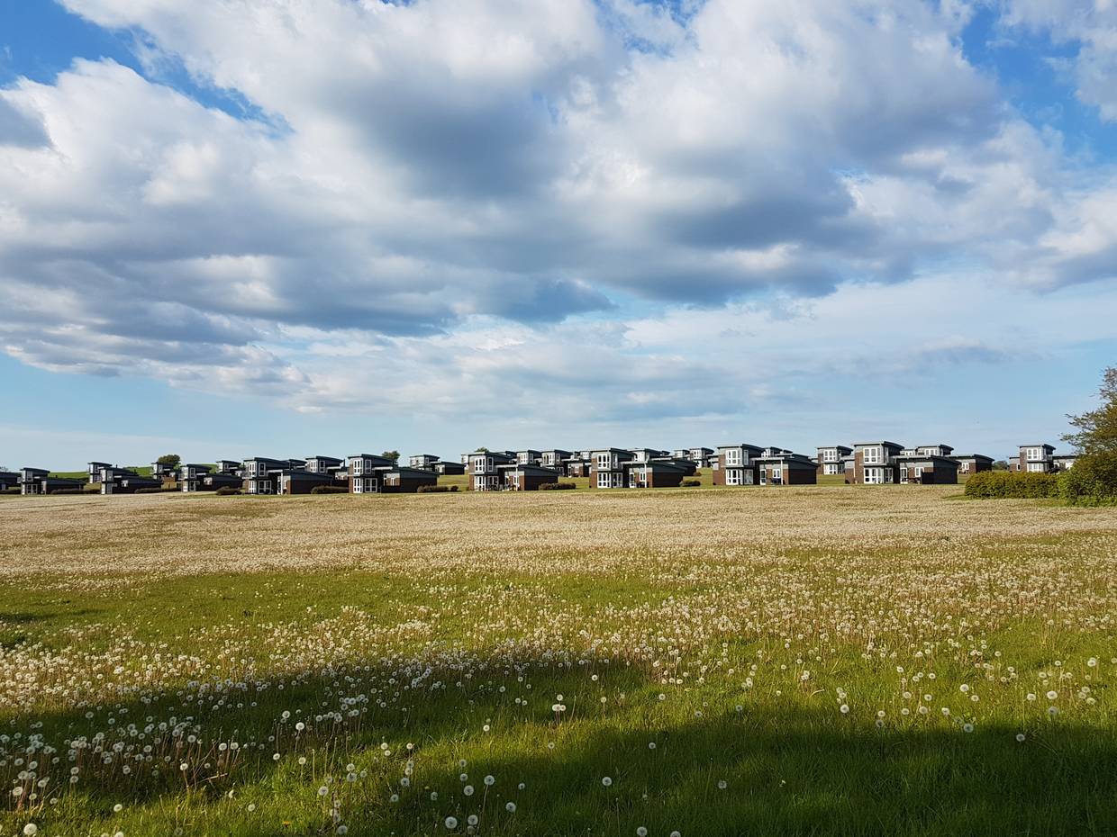 Moderne, gleichförmige Ferienhäuser auf einer Wiese