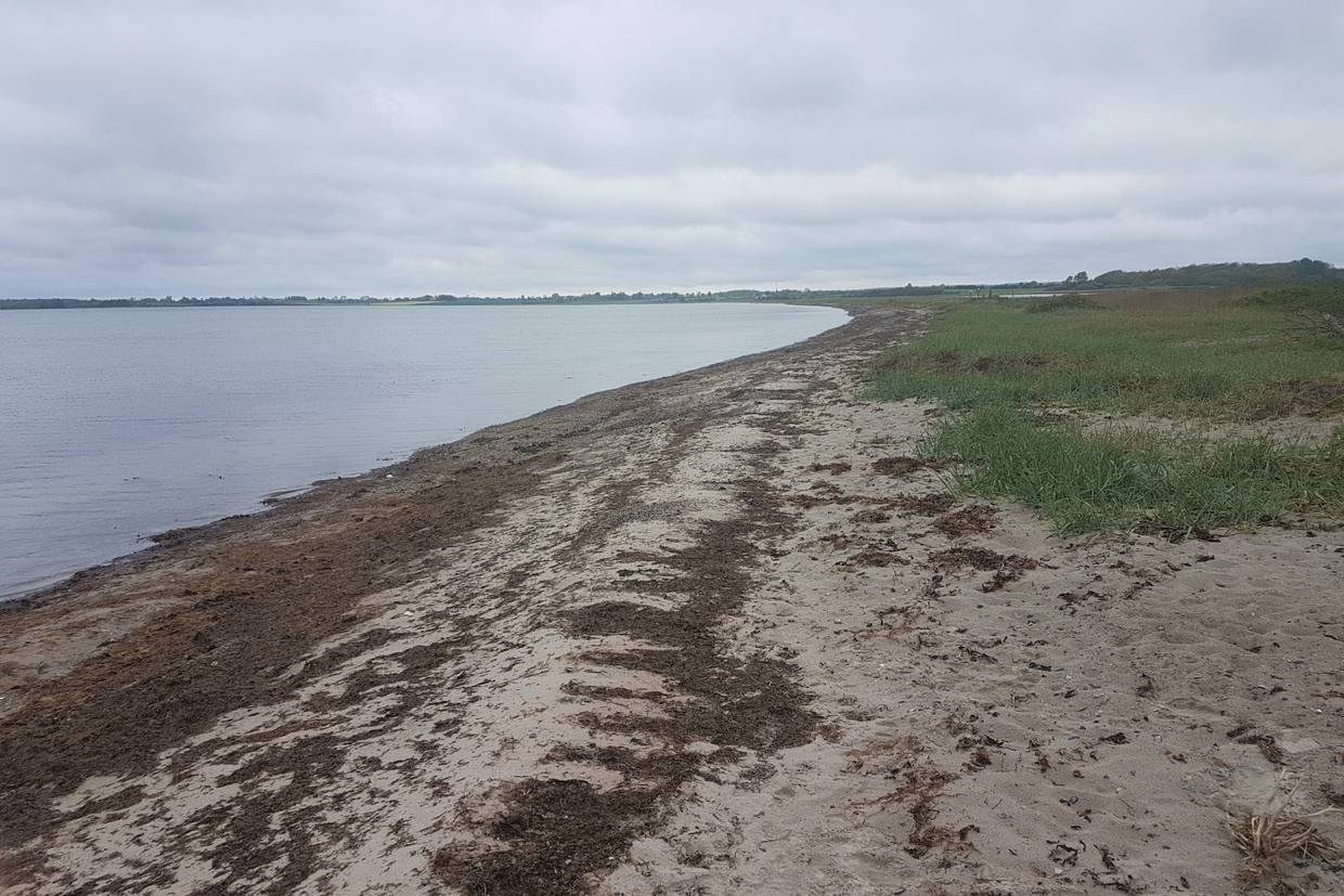 Foto von Sandager Næs Strand