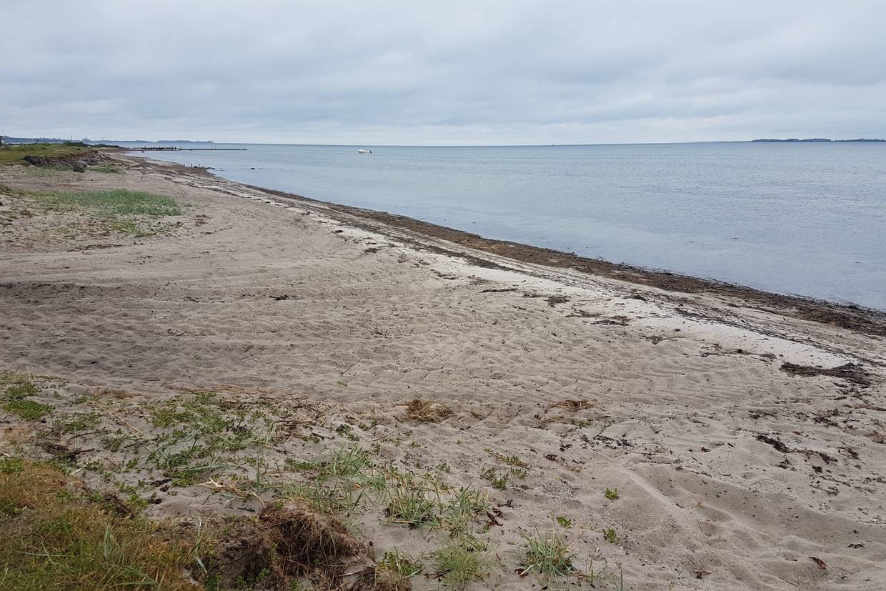 Foto von Sandager Næs Strand