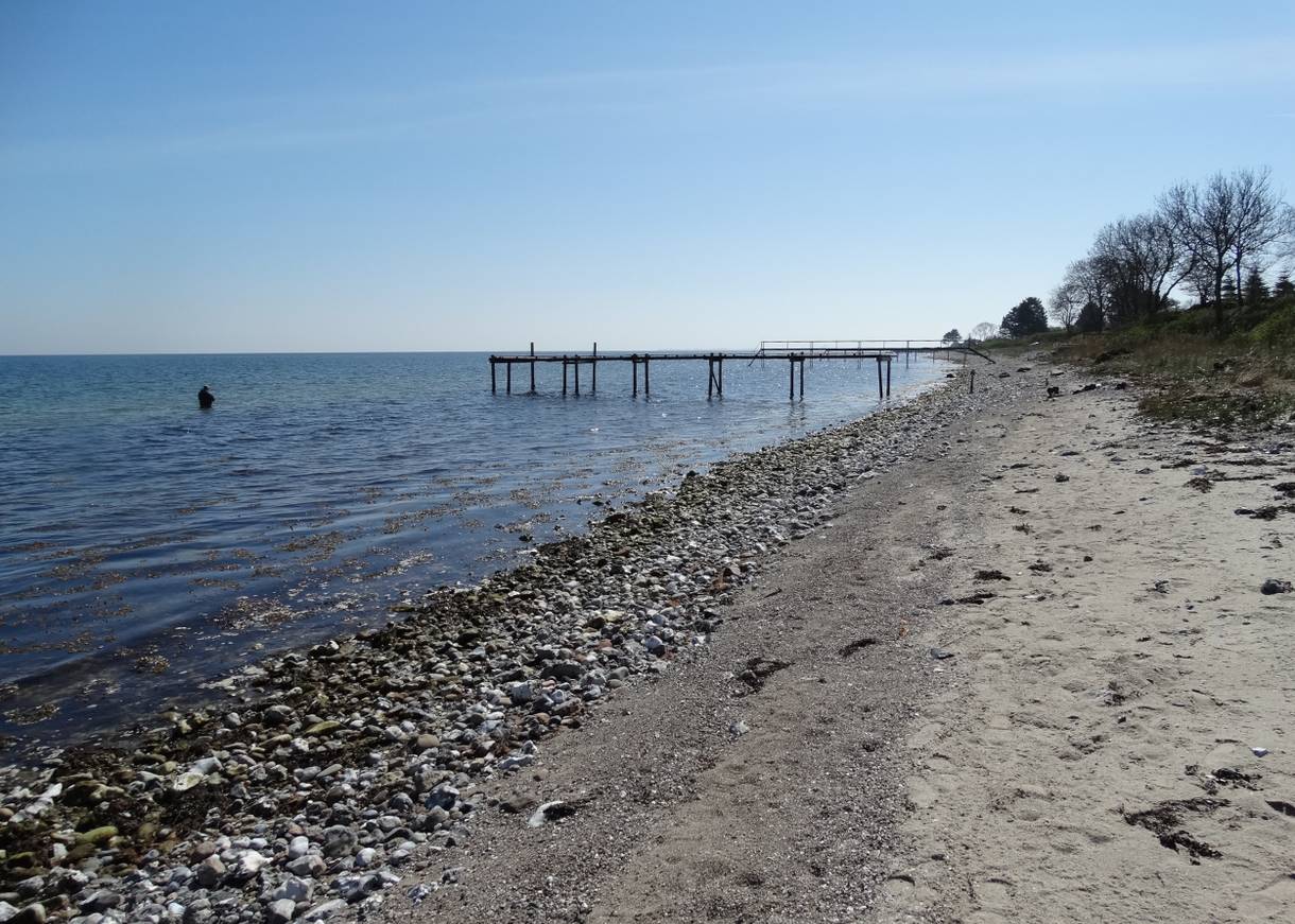 Steiniger Strand mit einem Badesteg